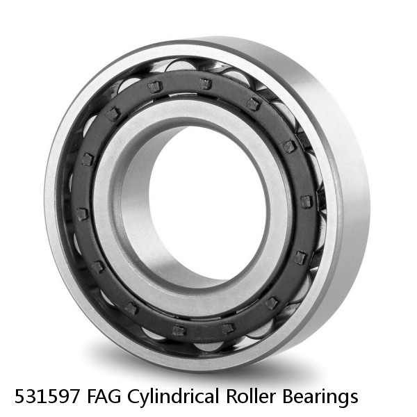 531597 FAG Cylindrical Roller Bearings