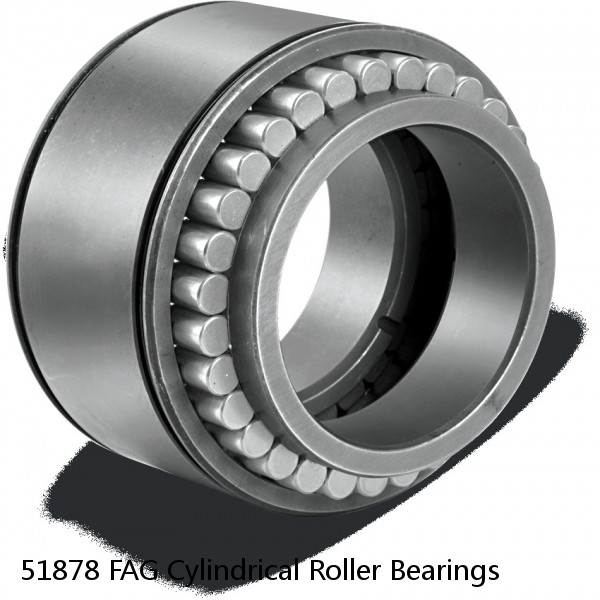 51878 FAG Cylindrical Roller Bearings