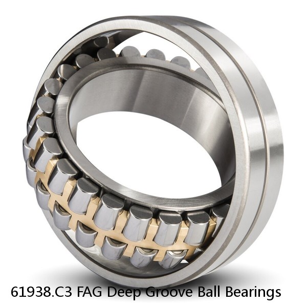 61938.C3 FAG Deep Groove Ball Bearings