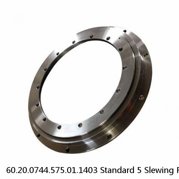 60.20.0744.575.01.1403 Standard 5 Slewing Ring Bearings